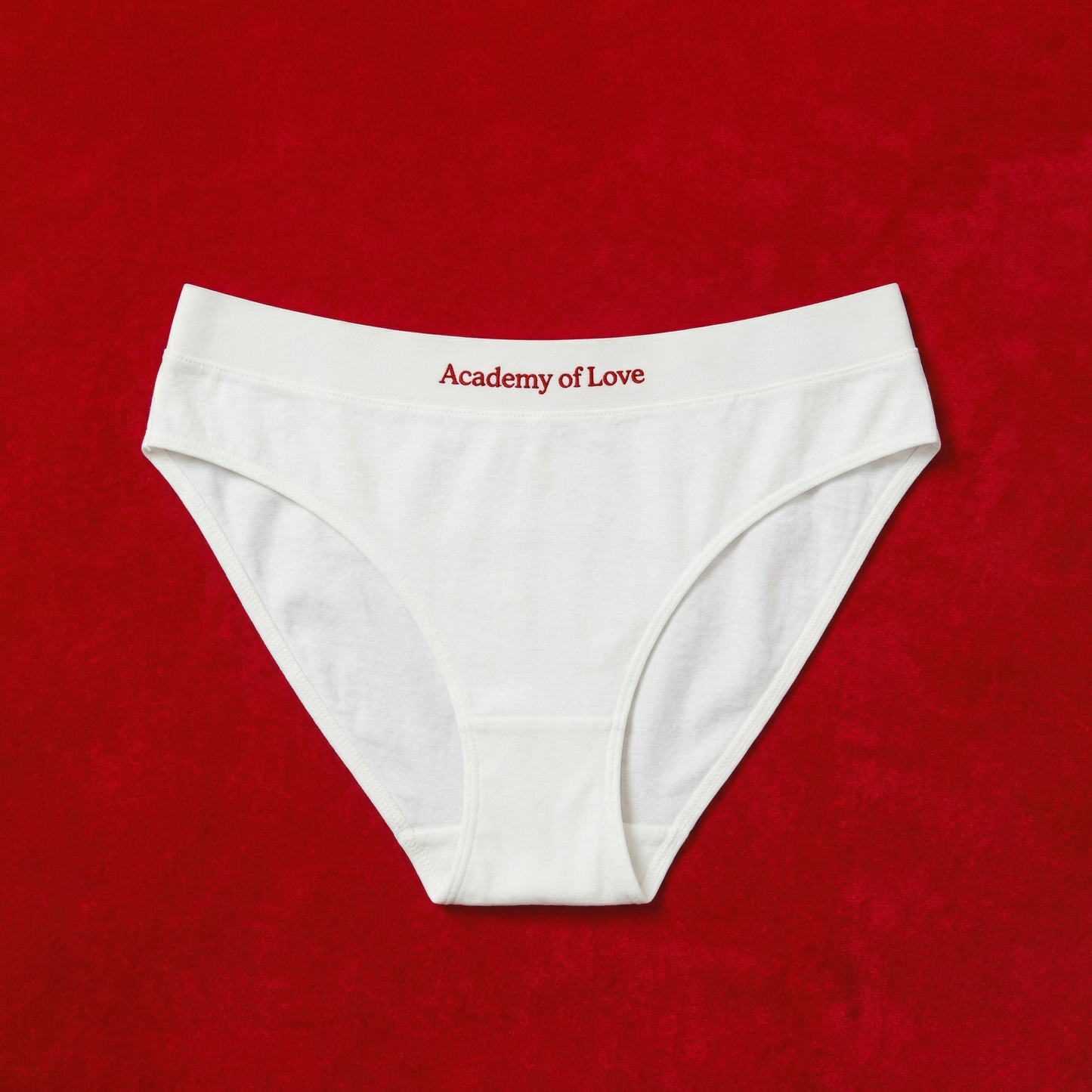 Aol Cotton Underwear for Women - Mid-Rise Briefs with Letter Logo Print