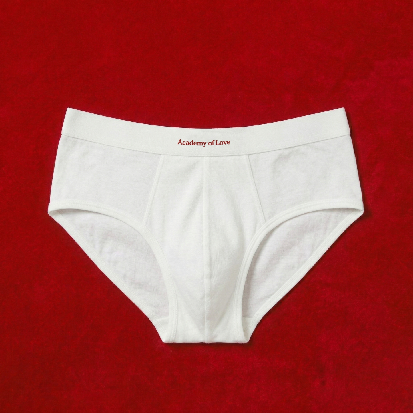 The AOL Sexy Brief