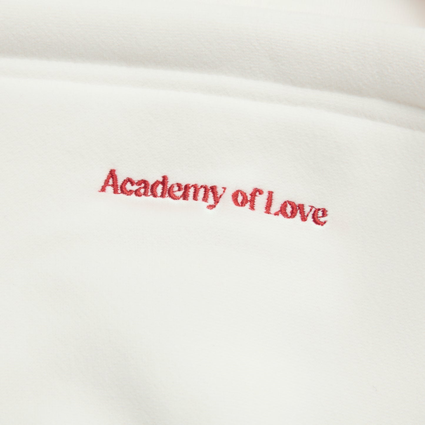 The Soft Love Hoodie Academy of Love
