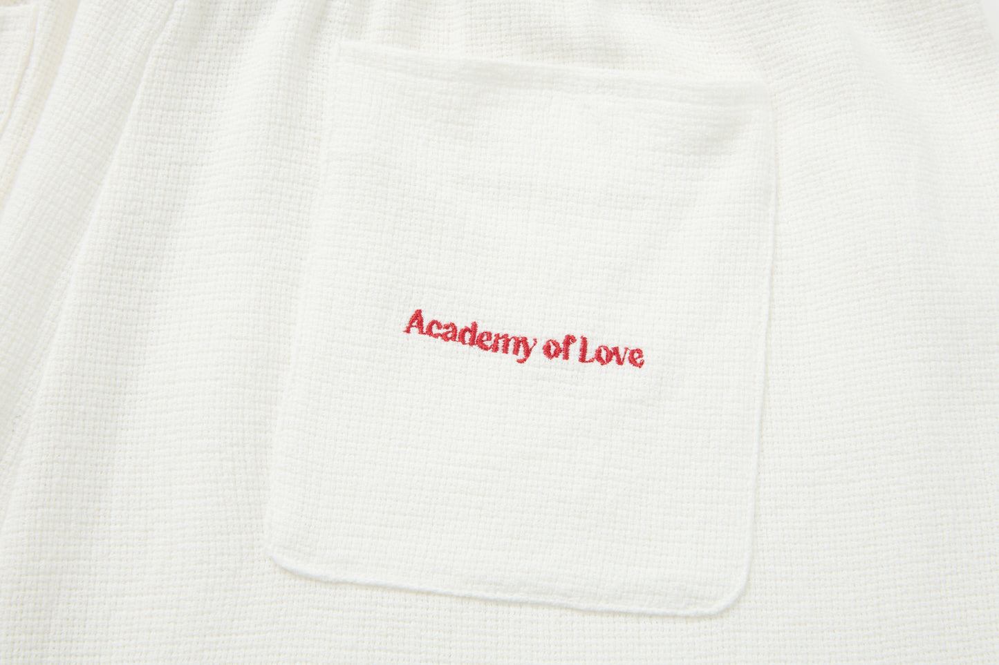 Breeze Shorts Academy of Love