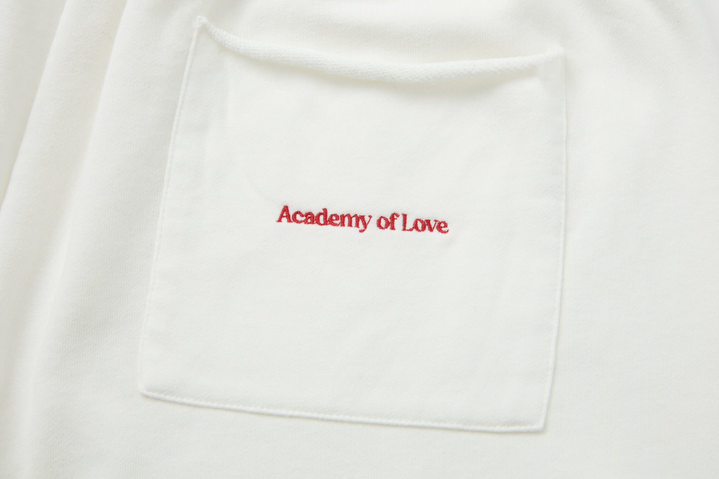 The Infinite Shorts Academy of Love